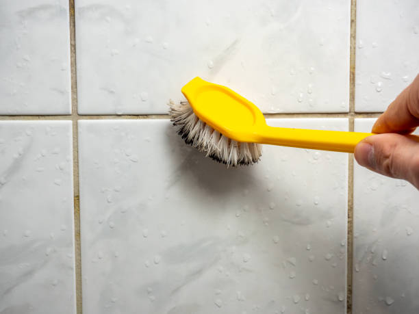 Mold Removal Process in Cedar Hill, MO