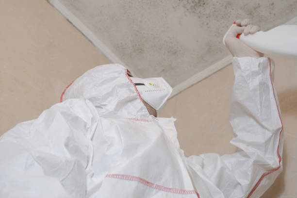 Office Mold Removal Services in Cedar Hill, MO
